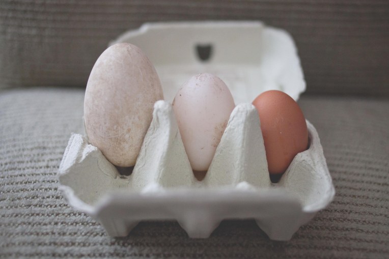 3 eggs-1