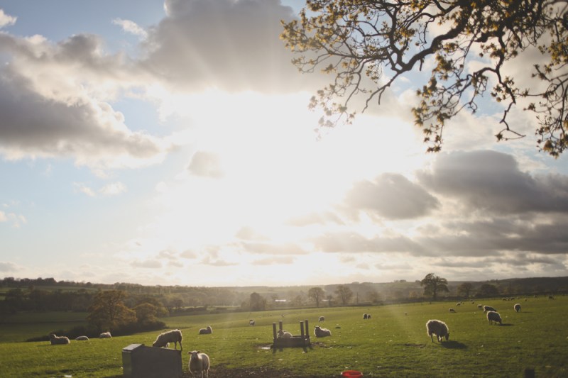 Emma-Ben-Star-Inn-alternative-wedding-photography-10