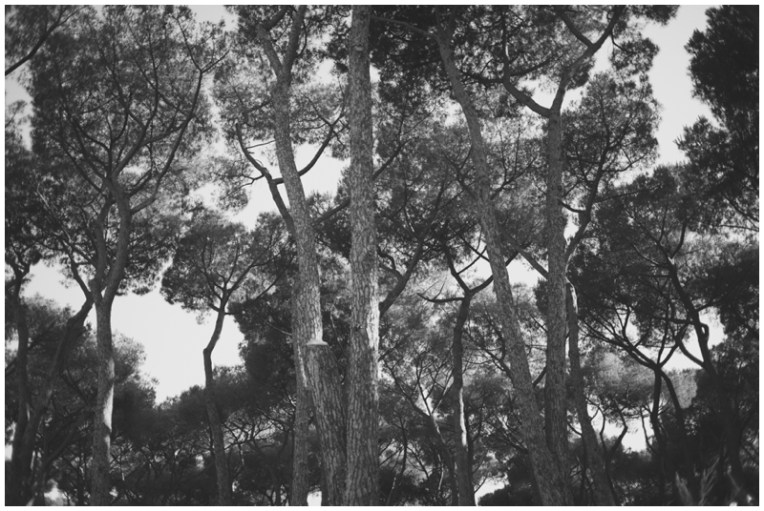 Italy-23