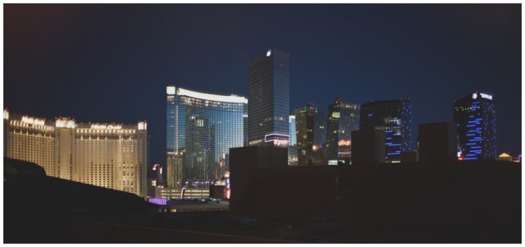 Las Vegas wedding photographer-3