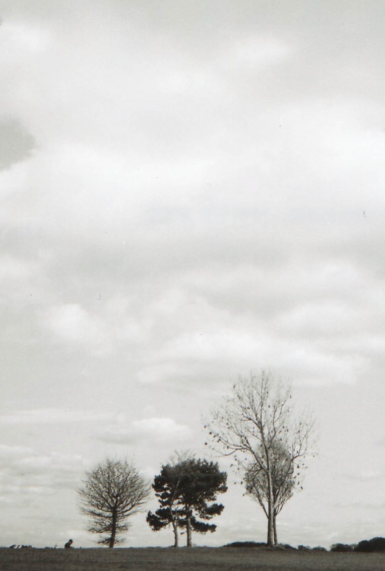 OLYMPUS TRIP 35MM CAMERA-038