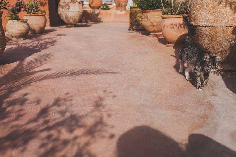 MARRAKECH-TRAVEL-PHOTOGRAPHY-013