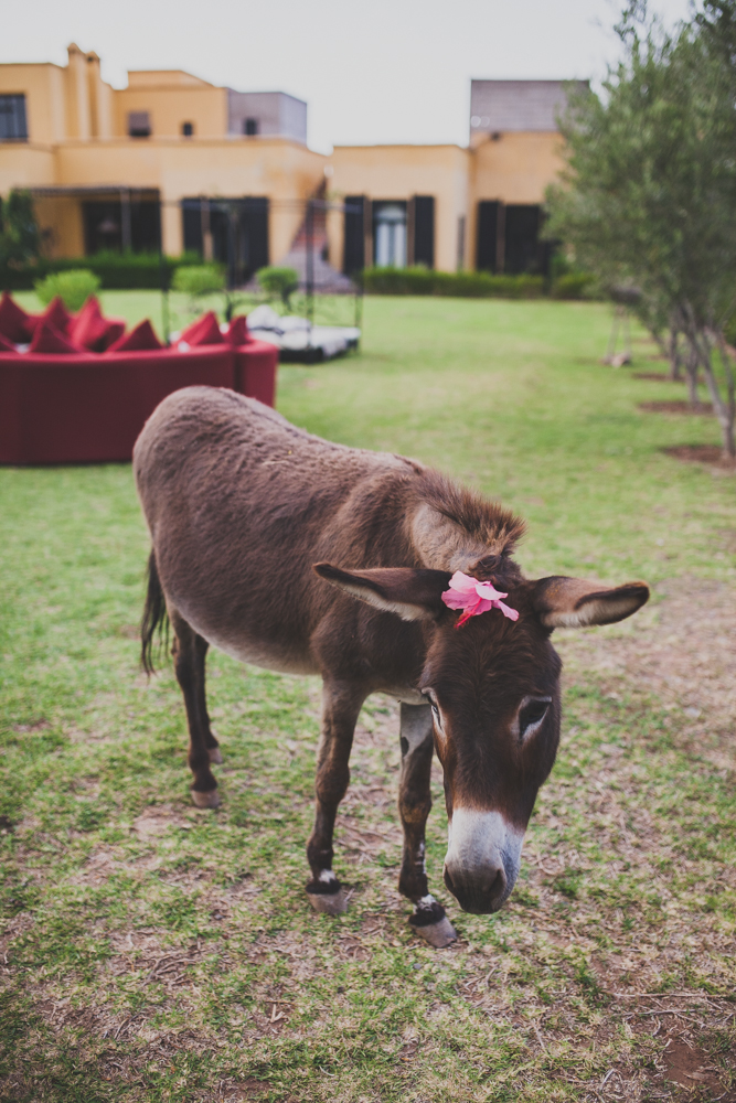 MARRAKECH-WEDDING-PHOTOGRAPHER-012