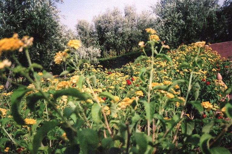 MARRAKECH_FILM_PHOTOGRAPHY-008