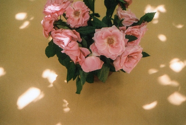MARRAKECH_FILM_PHOTOGRAPHY-020