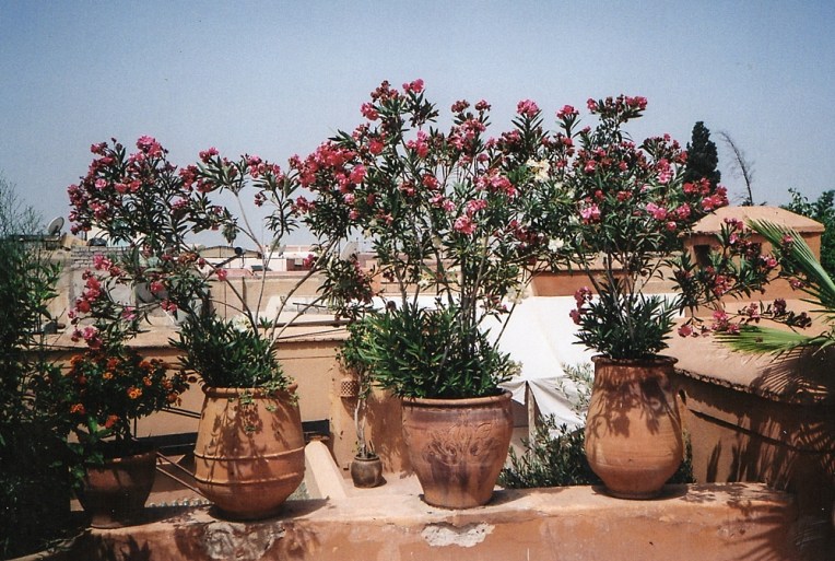 MARRAKECH_FILM_PHOTOGRAPHY-028